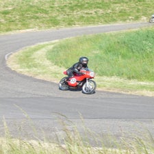 p1040750-standard.jpg