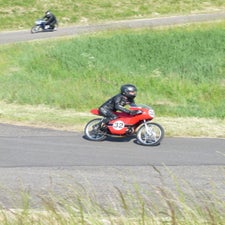 p1040751-standard.jpg