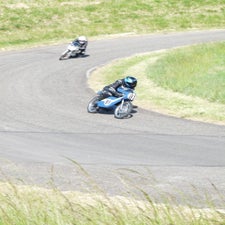 p1040760-standard.jpg