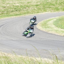 p1040774-standard.jpg