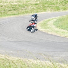 p1040781-standard.jpg