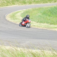 p1040787-standard.jpg