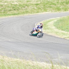 p1040793-standard.jpg