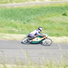 p1040795-standard.jpg
