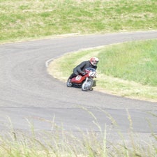 p1040799-standard.jpg
