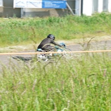 p1040810-standard.jpg