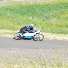 p1040811-standard.jpg