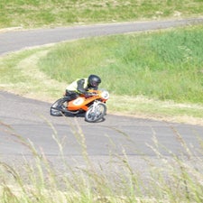 p1040817-standard.jpg