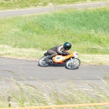 p1040832-standard.jpg