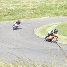 p1040842-standard.jpg