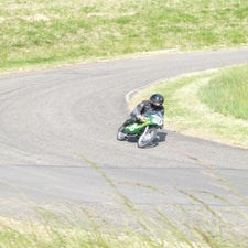 p1040858-standard.jpg