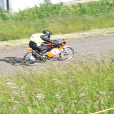 p1040887-standard.jpg