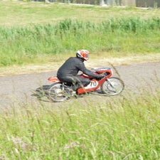 p1040898-standard.jpg