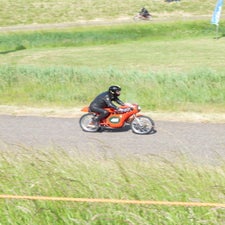 p1040922-standard.jpg