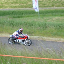 p1040937-standard.jpg