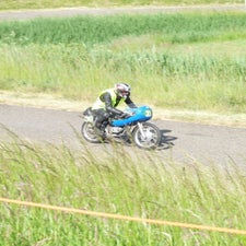 p1040949-standard.jpg