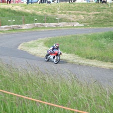 p1040952-standard.jpg