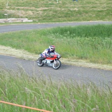 p1040953-standard.jpg