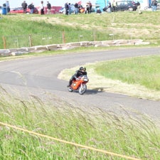 p1040966-standard.jpg