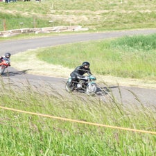 p1040969-standard.jpg