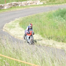 p1040977-standard.jpg