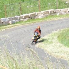 p1040981-standard.jpg