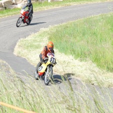 p1040983-standard.jpg