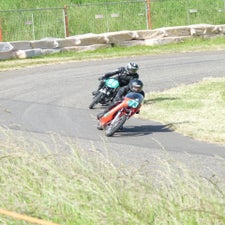 p1040987-standard.jpg