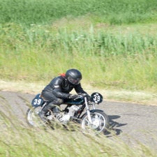 p1040991-standard.jpg