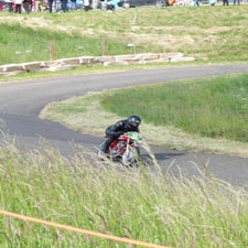p1050031-standard.jpg