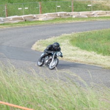 p1050035-standard.jpg