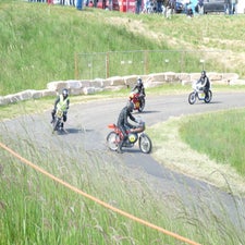 p1050049-standard.jpg