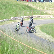 p1050051-standard.jpg