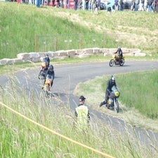 p1050054-standard.jpg