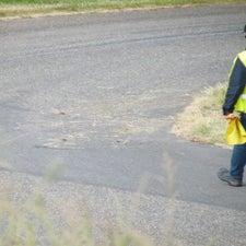 p1050059-standard.jpg