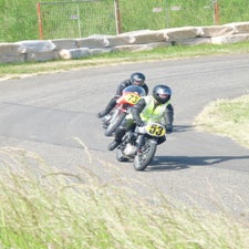 p1050069-standard.jpg