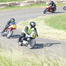 p1050070-standard.jpg