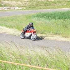 p1050082-standard.jpg