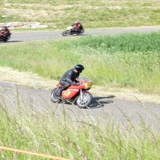 p1050086-standard.jpg
