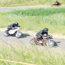 p1050089-standard.jpg
