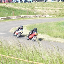 p1050091-standard.jpg