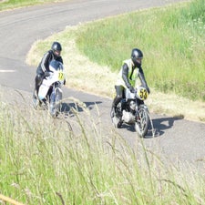 p1050097-standard.jpg
