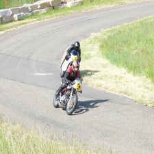 p1050139-standard.jpg