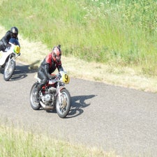 p1050140-standard.jpg