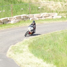 p1050144-standard.jpg