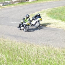 p1050168-standard.jpg