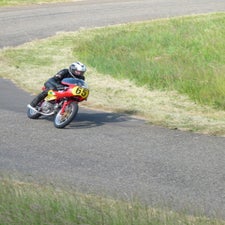 p1050178-standard.jpg