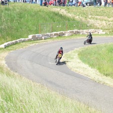 p1050220-standard.jpg