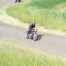p1050229-standard.jpg