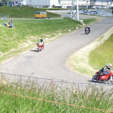 p1050234-standard.jpg